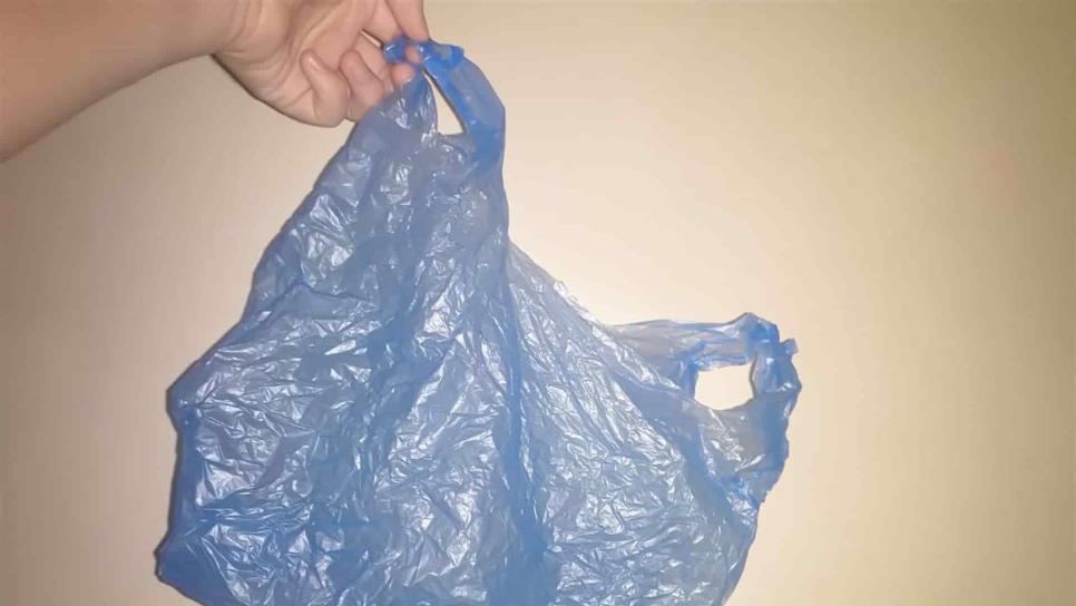 Van 8 empresas sancionadas por utilizar plásticos no biodegradables Van 8 empresas sancionadas por utilizar plásticos no biodegradables