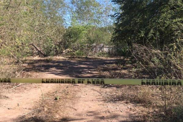 A balazos corren a Sabuesos Guerreras de fosa clandestina