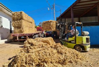 Entregan forraje a ganaderos para combatir sequía