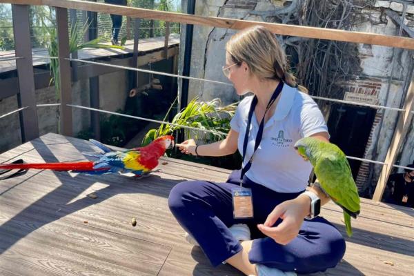 Mazatlán recibirá a todas las aves mexicanas producto de decomisos en el país
