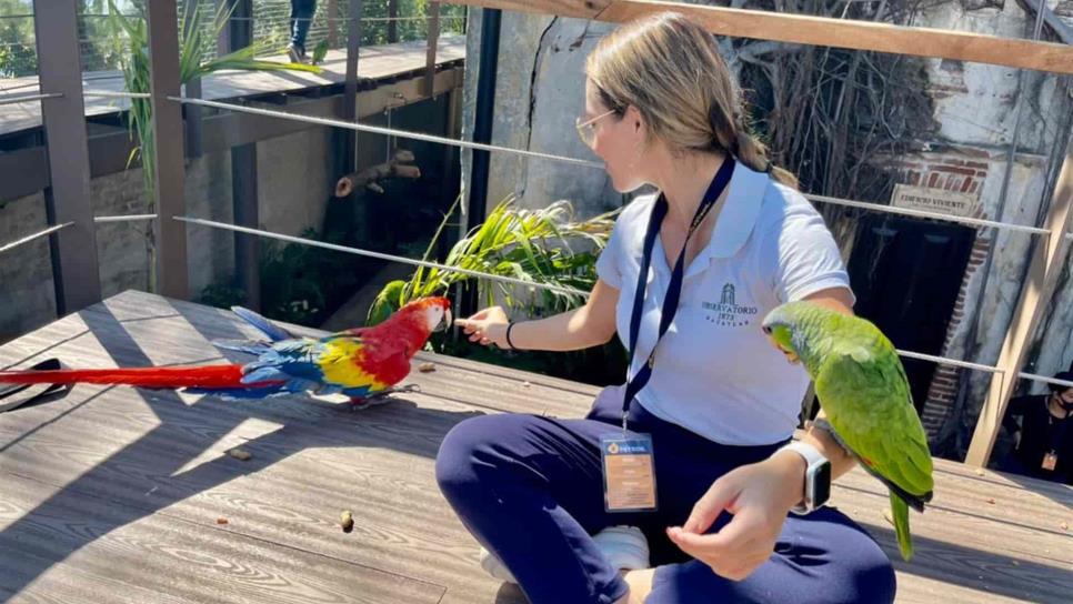 Mazatlán recibirá a todas las aves mexicanas producto de decomisos en el país