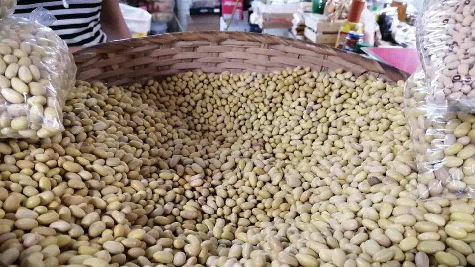 ¿Cuánto frijol hay almacenado en México?: productores