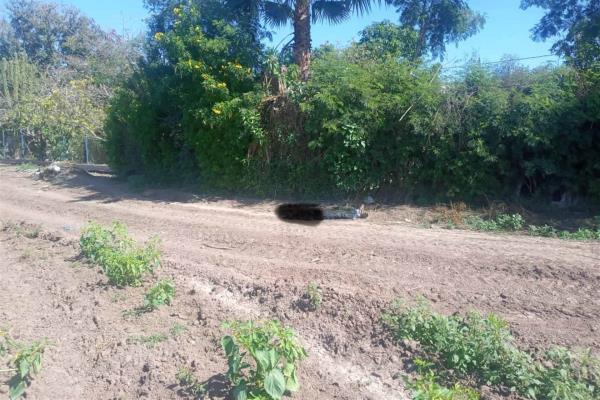 Hallan a menor sin vida en Campo 35, Ahome