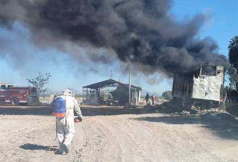 Trabajadores combatían enjambre e incendian caja de tráiler