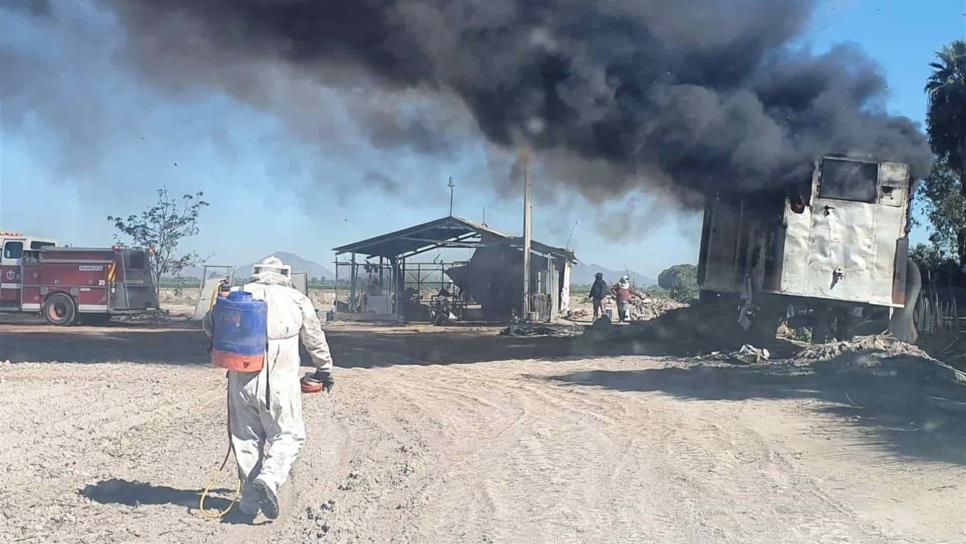 Trabajadores combatían enjambre e incendian caja de tráiler