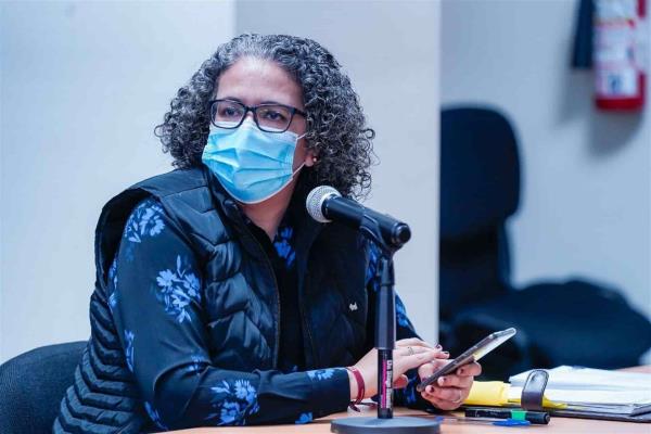 Ley del Fomento Apícola fue hecha con participación ciudadana: Domínguez Nava