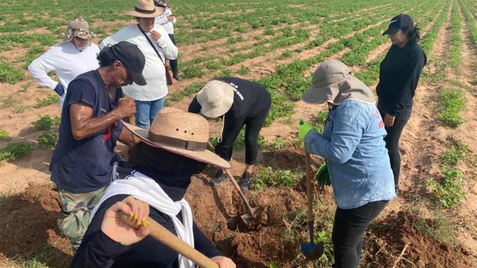 Luego de marcha, la Fiscalía identifica y entrega cuerpos que tenían meses en funerarias