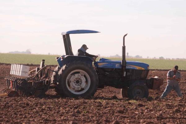 Rocha gestionará con AMLO subsidio en fertilizantes para temporaleros