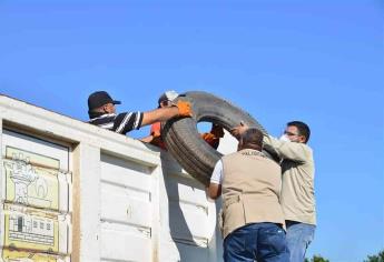 Colonos pueden organizarse para agendar descacharrización: SSa