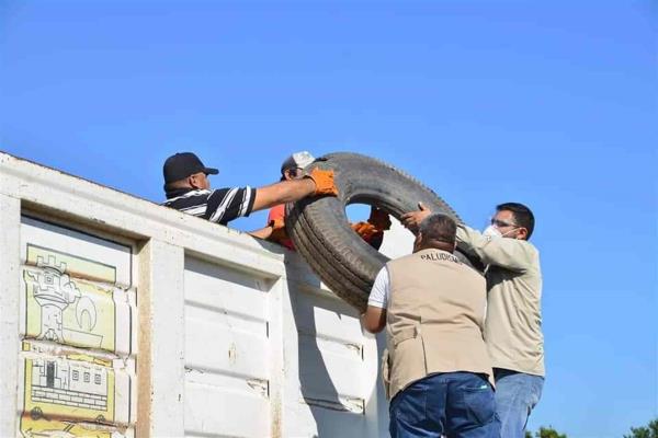 Colonos pueden organizarse para agendar descacharrización: SSa