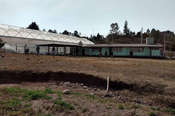 Maestros piden al SNTE que Cobaes les dé bases y los sindicalice