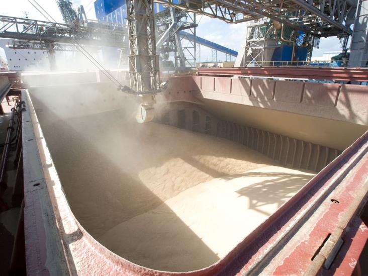 China aumentará la superficie de maíz China aumentará la superficie de maíz