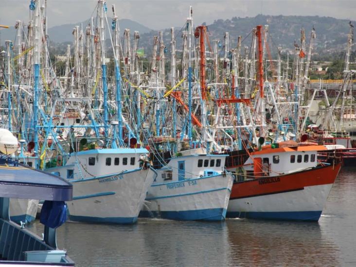 Conapesca confirma calendario de veda de pesca de camarón en el Pacífico Conapesca confirma calendario de veda de pesca de camarón en el Pacífico