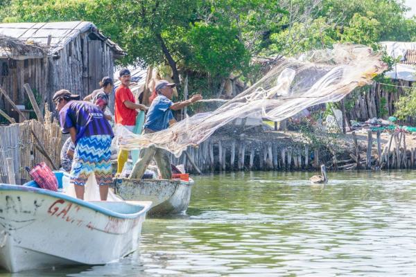 Sin problema se harán los pagos del Bienpesca, asegura la Conapesca
