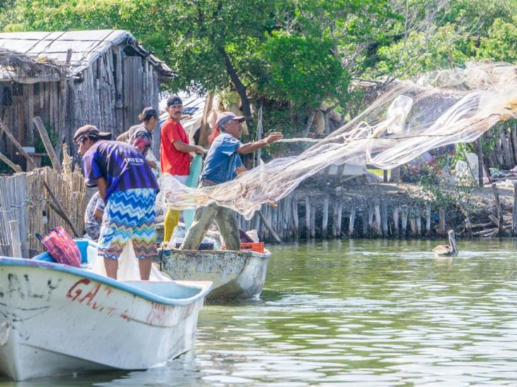 Conapesca exhorta a beneficiarios del Bienpesca esperar el llamado de Servidores de la Nación Conapesca exhorta a beneficiarios del Bienpesca esperar el llamado de Servidores de la Nación