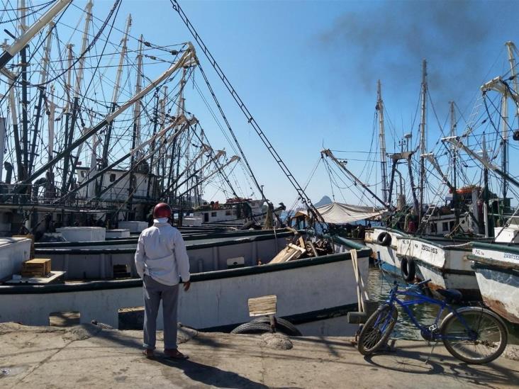 Cientos de pescadores en Mazatlán no pudieron trabajar en captura de camarón Cientos de pescadores en Mazatlán no pudieron trabajar en captura de camarón