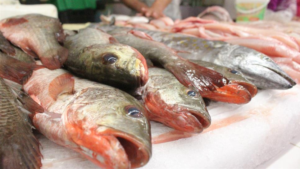 Profeco: los 5 pescados más baratos para comprar esta Cuaresma 2024