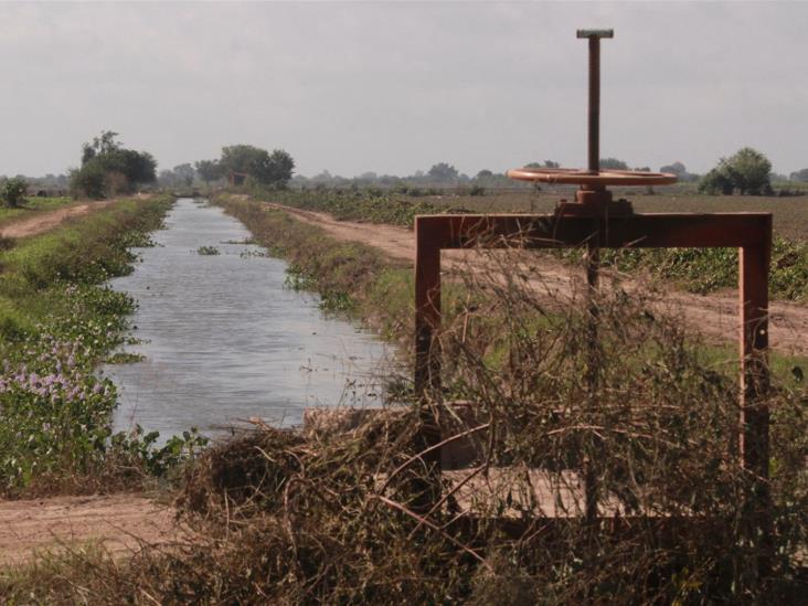 Agricultores dejan sin agua potable a El Jitzámuri Agricultores dejan sin agua potable a El Jitzámuri