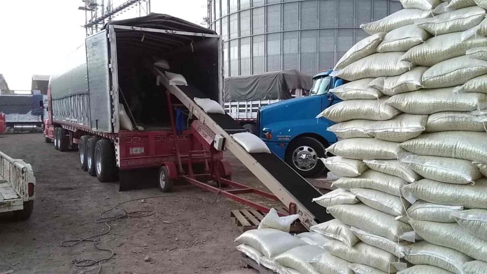 Sinaloa garantizará acopio de frijol por tres meses para estabilizar precios: SAyG