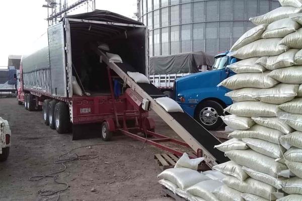 Sinaloa podría sembrar más de 80 mil hectáreas de frijol en el 21-22