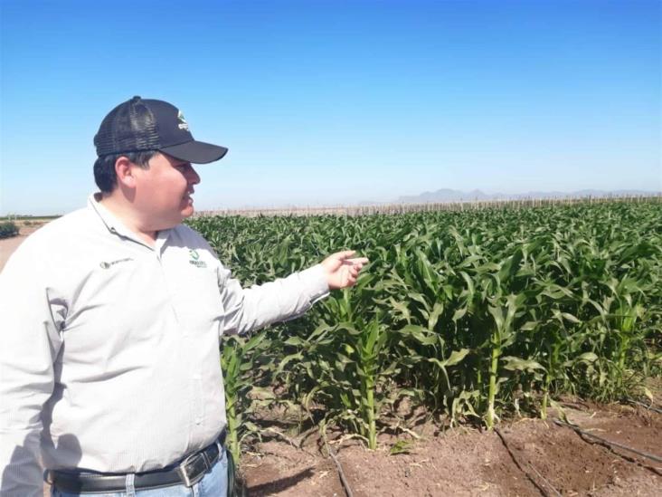 En ExpoCeres sí se puede avanzar a la reconversión productiva En ExpoCeres sí se puede avanzar a la reconversión productiva