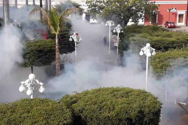 Ayuntamiento intensifica fumigaciones contra el mosco en El Fuerte