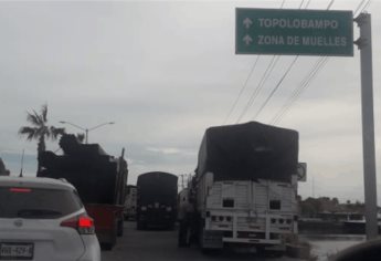 Denuncian que control de API al transporte de carga afecta acceso a Topolobampo