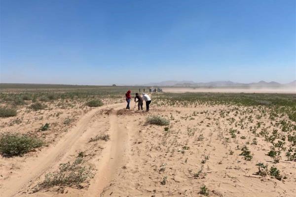 Encuentran otras cuatro fosas en Huacaporito, van nueve cuerpos