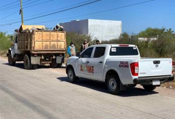 Ciudadanía no participa en campañas contra el dengue