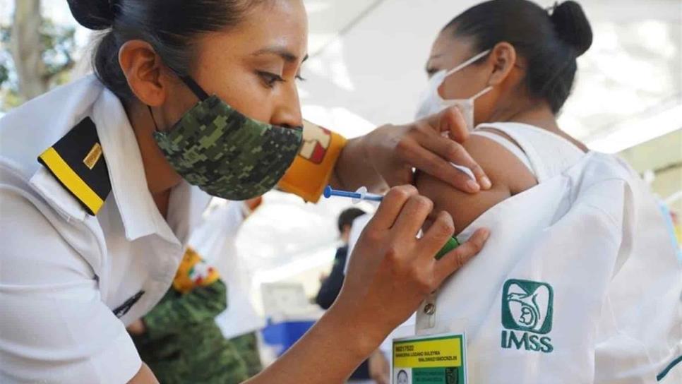 Más de 8 mil médicos del IMSS ya fueron vacunados contra el Covid-19 en Sinaloa