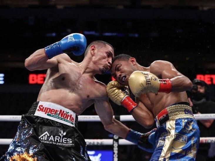 Gallo Estrada supera al “Chocolatito” por la supremacía Gallo Estrada supera al “Chocolatito” por la supremacía