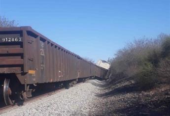 Se descarrila tren carguero en el Valle del Carrizo