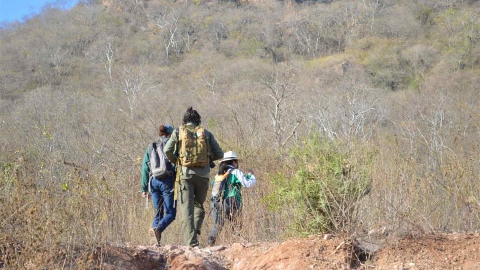 Senderismo, actividad en auge en tiempos de pandemia