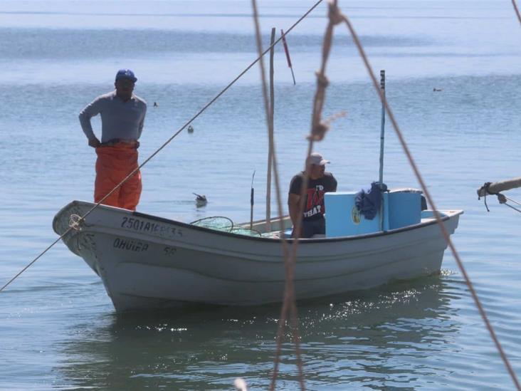 Con la veda de camarón, pescadores buscan otras opciones para emplearse Con la veda de camarón, pescadores buscan otras opciones para emplearse