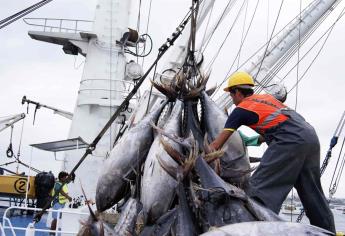 Establecen veda temporal para la pesca de atún para los años 2022 a 2024