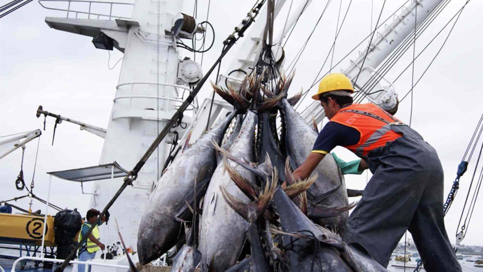 Establecen veda temporal para la pesca de atún para los años 2022 a 2024