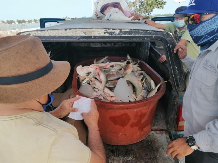 Retiene Conapesca más de 109 toneladas de producto pesquero en febrero Retiene Conapesca más de 109 toneladas de producto pesquero en febrero