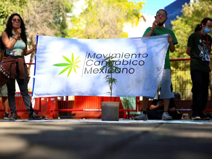 La ONU, preocupada por los planes de legalización del cannabis en México La ONU, preocupada por los planes de legalización del cannabis en México