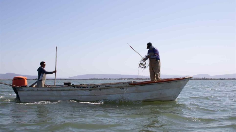 Pescadores esperan que veda electoral no frene entrega de motores marinos