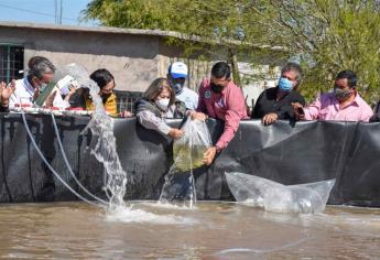 Inauguran proyectos acuícolas en Ahome