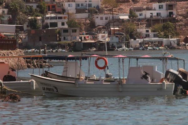 Embarcaciones podrán navegar al 70 % en Topolobampo