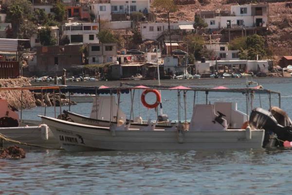 Caen al 50 % los paseos en lancha en Topolobampo