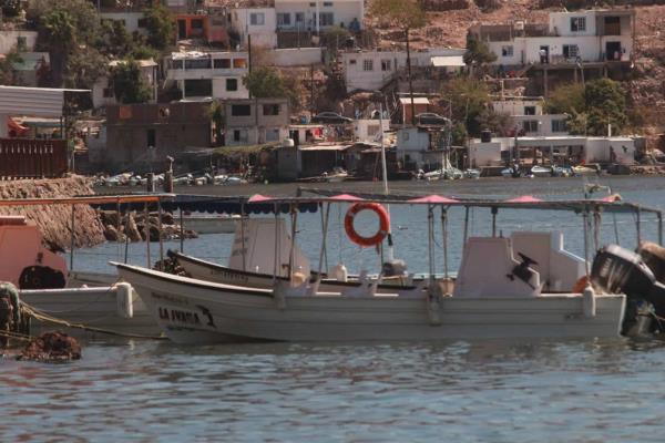 Esperan aumento del 80% de visitantes en Topolobampo