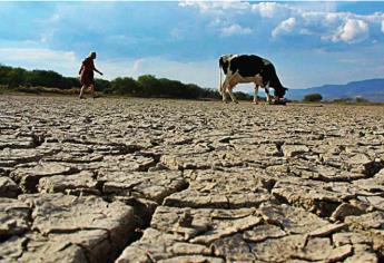 Prevén escenario más difícil de sequía