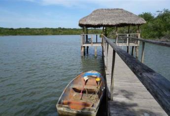 Estero del Yugo: una área de riqueza ambiental en Mazatlán