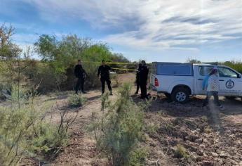 Rastreadoras de Guasave encuentran restos humanos en La Sabanilla