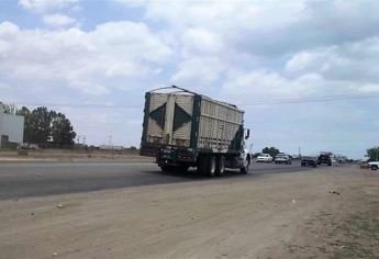 Autotransporte de carga se recupera económicamente, aunque con dificultades