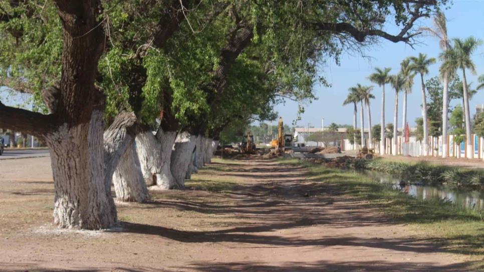 Prohíben tomar bebidas alcohólicas en Los Álamos de Los Mochis