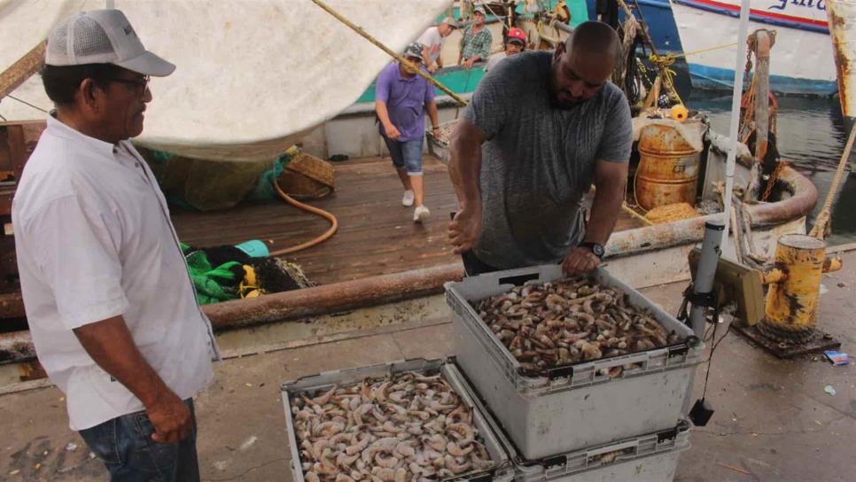 Vetarán el camarón mexicano por incumplimiento en vigilancia en el mar: Becerra