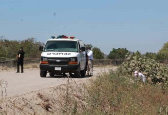 Continúa búsqueda por rastreadoras en Palmillas; hallan dos cuerpos